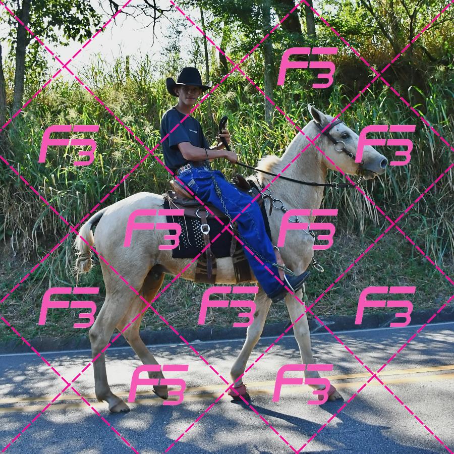 PC